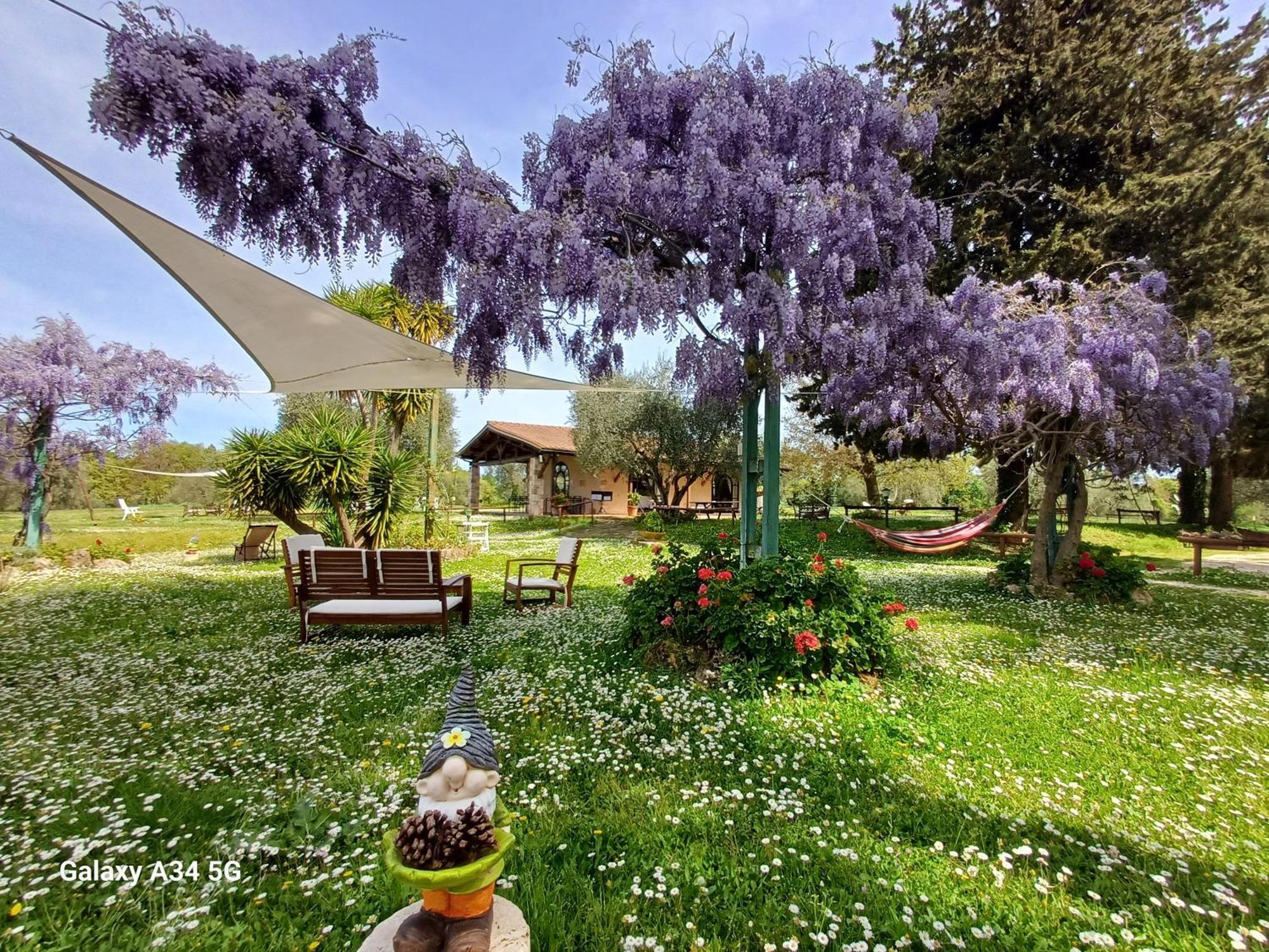 Agriturismo Bio Pian Dei Casali Сатурния Экстерьер фото